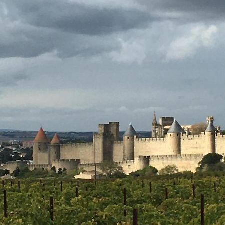 Les Orchidees Leilighet Carcassonne Eksteriør bilde