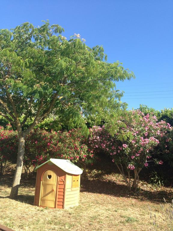 Les Orchidees Leilighet Carcassonne Eksteriør bilde