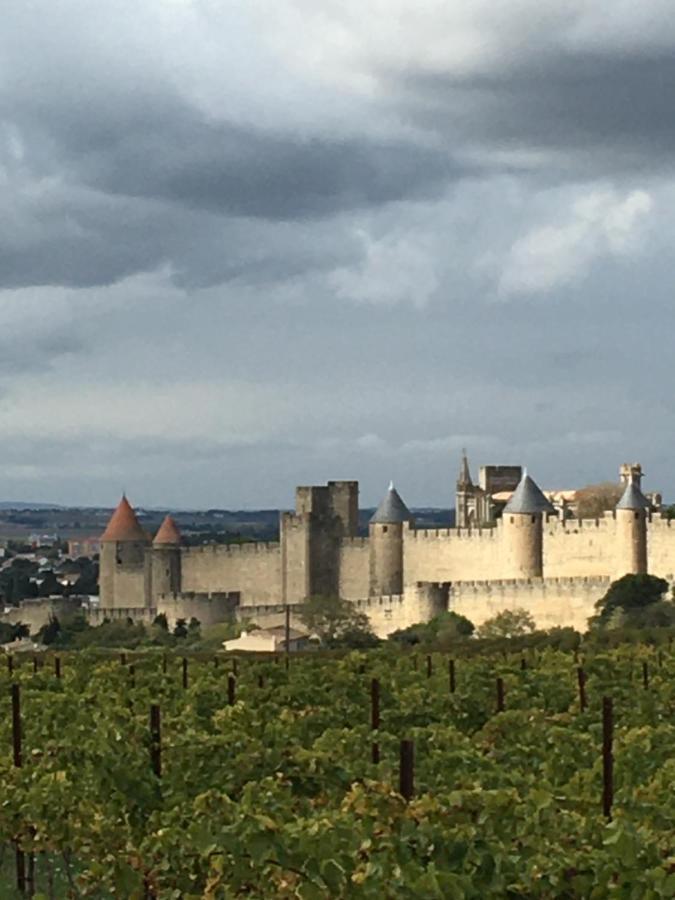 Les Orchidees Leilighet Carcassonne Eksteriør bilde